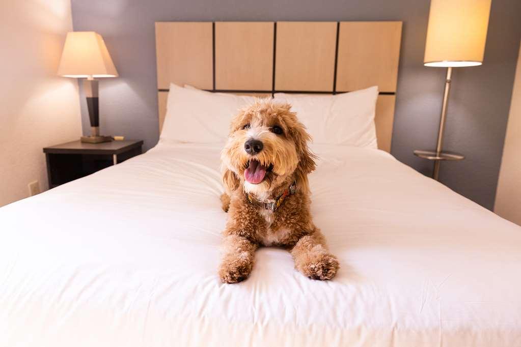Sonesta Simply Suites Nashville Brentwood Rom bilde